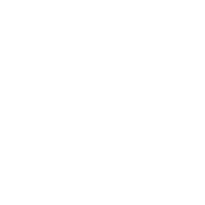 RAIDCORE